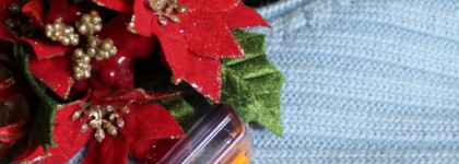 Вместе всю зиму - два моих зимних открытия