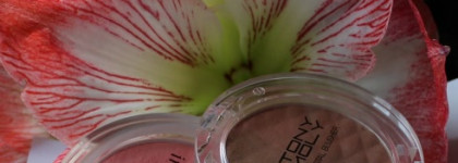 Мои первые корейские румяна Innisfree Mineral Blusher №5 и TonyMoly Сrystal blusher №05