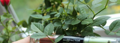 Тени Max Factor smoky effect eyeshadow 05 Citrus Thunder - что-то неведомое