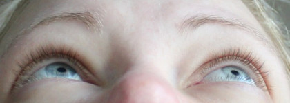 С Рождеством! Рождественский набор TheFaceShop - Holiday Love Edition My Dearest Winter Friends Face it Make Up Kit