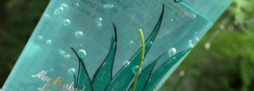 SkinFood - Aloe Multi Soothing Gel