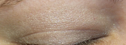 Тени Dior Diorshow Mono Trianon Edition Wet & Dry Backstage Eyeshadow №427 Opaline