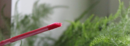 Chanel Brilliant Extreme Glossimer – Блеск для губ «Интенсивное сияние» № 174 Daydream