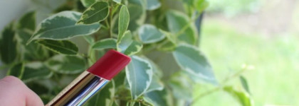 Продолжение обзора помад Clarins серии Rouge Eclat