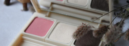 Тени SkinFood My Short Cake Eye Shadow в оттенке Spk03 и новая магнитная палетка SkinFood