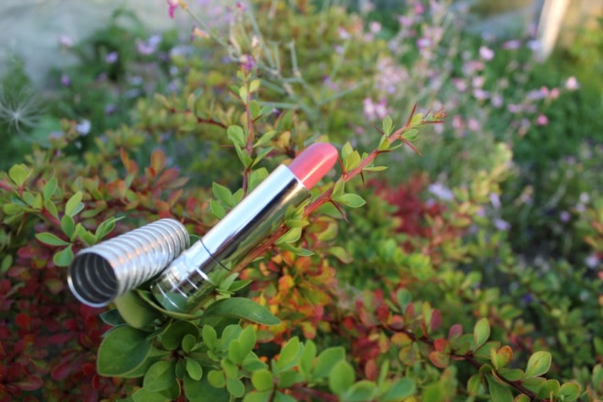 Неудачная Clinique Long last soft matte lipstick №50 matte beauty