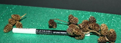 Карандаш Make Up For Ever Professional Lip Line Perfector. ColorlessAnti-Feathering Lip Pencil