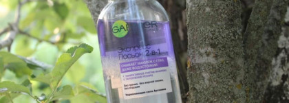 Garnier Skin Naturals Экспресс Лосьон 2-в-1 для снятия макияжа с глаз