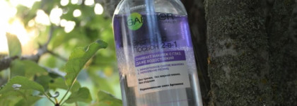 Garnier Skin Naturals Экспресс Лосьон 2-в-1 для снятия макияжа с глаз