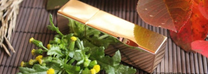 Clarins Rouge Prodige True-Hold Colour and Shine Lipstick №121 Red prodige