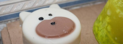 Пустые банки марта. Lush, Banna, Chanel, Clinique, Mac, мыло и отечественная косметика