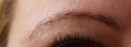 Vivienne Sabo Fixateur Brow&Lash Fixing Gel и Vivienne Sabo Confiture Jam Effect Lip Gloss