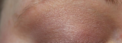 Shiseido Luminizing Satin Eye Color Trio RD711 Pink Sands