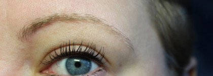 Тушь L'Oreal Bambi Eye False Lash Mascara в оттенке Black