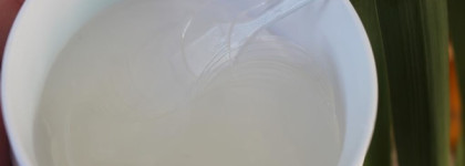 Petitfee Collagen & CoQ10 Hydrogel Eye Patch