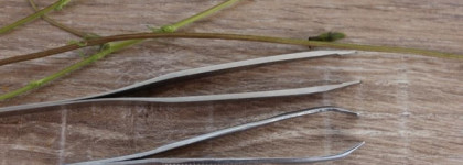 Пинцет Zinger 5311 SH-Salon и на что я теперь обращаю внимание при выборе