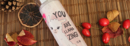 Вечеринка бешеной ламы. Любите ли вы лам? Спрей и кубики