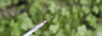 Relouis Paradiso Sparkle Color Eyeliner в оттенке 02 Tapenade