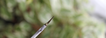 Relouis Paradiso Sparkle Color Eyeliner в оттенке 02 Tapenade