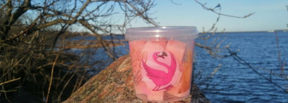 Пустые банки конца весны