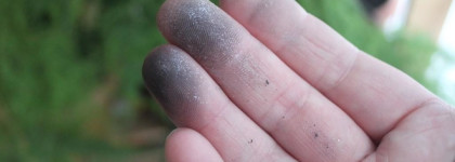 Размышления о Chanel Illusion D'Ombre 85 Mirifique