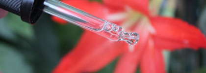 Essence The Glowin' Golds vitamin C glow serum Сыворотка для лица с витамином С и сиянием