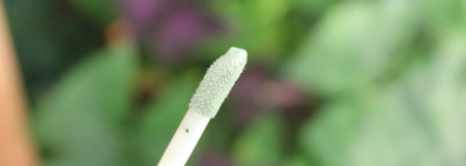 Корректоры NYX - оба два, да ни в одном добра? (В.И. Даль) А мне понравились