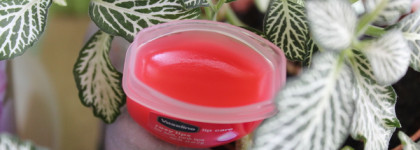 Vaseline Lip care Rosy lips