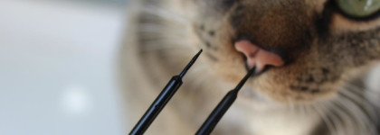 Просто замечательная подводка Vivienne Sabo Cabaret Premiere Liquid Eyeliner