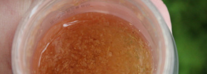 Легче лёгкого - крем Nacific Real Floral Air Cream Rose