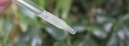 Как я волосопад останавливала - Kleona сыворотка активатор роста волос Blond