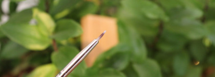 Limoni Pro Кисти на каждый день