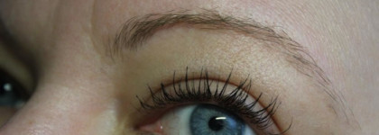 Missha Smudge Proof Wood Brow LB