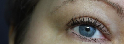 Missha Smudge Proof Wood Brow LB