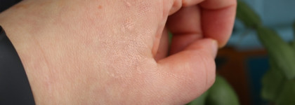 Ecomake Румяна минеральные Пыльная роза