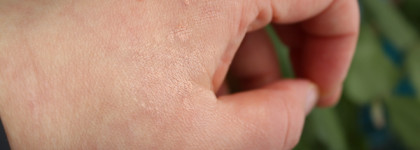 Ecomake Румяна минеральные Пыльная роза