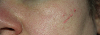 Vivienne Sabo Souffle a la rose Cream blush 01