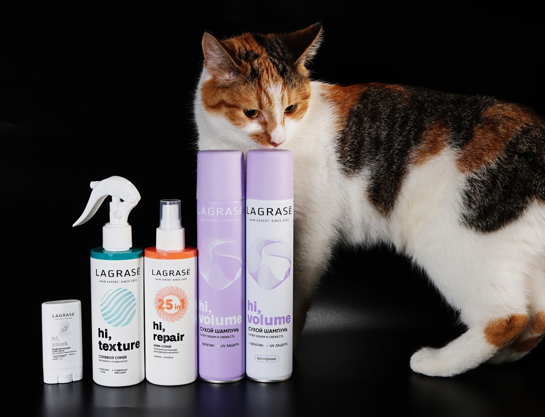 Кошка, которой все нужно и все интересно. Наглая рыжая морда