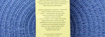 Brocard Ароматы природы Липовый цвет и флоксы