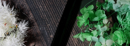 Sergey Naumov тушь Suprematic False Lashes Ultra Black и помада Lipstick Matte Scarlet Sage