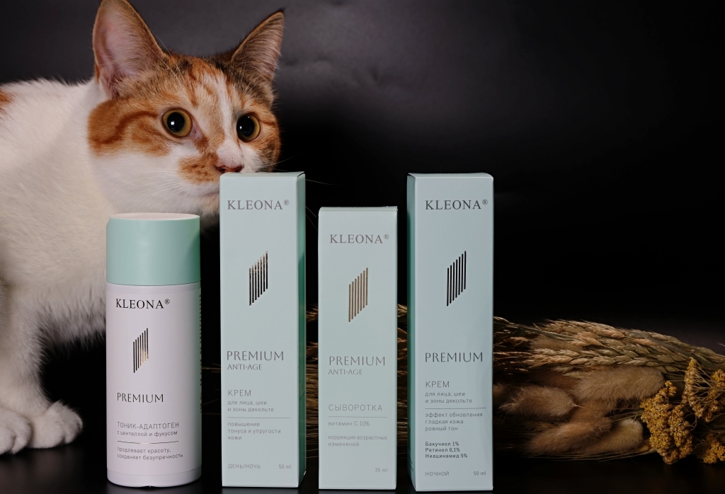 Какая же съемка без Морошки? Которебенок очень любопытен.