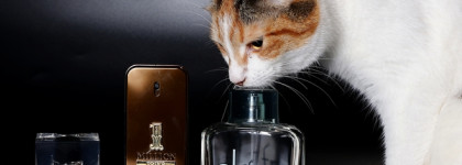 Мужской парфюм - что у нас на полке?