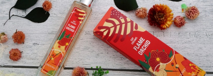 Brocard Day Dreams - Tiger Lily и Flame Orchid Два зимних аромата