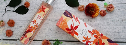 Brocard Day Dreams - Tiger Lily и Flame Orchid Два зимних аромата