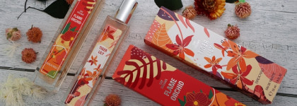 Brocard Day Dreams - Tiger Lily и Flame Orchid Два зимних аромата