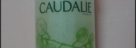 Caudalie в уходе за комбинированной кожей лица