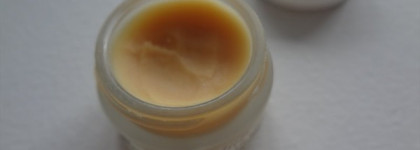 Зима. Миссия спасти губы