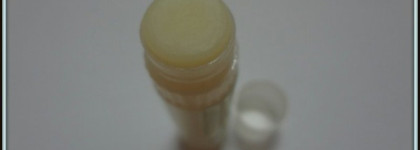 Зима. Миссия спасти губы