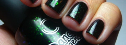 Как я приручала Дракона или  DL Rich Black №  923