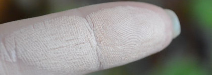 Запеченная пудра L'ambre «Touch of Luxury» в оттенке #01